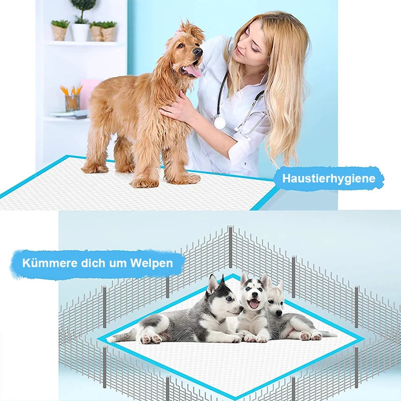 Tappetini Igienici Assorbenti per Cani e Gatti – Confezione da 100 Pezzi