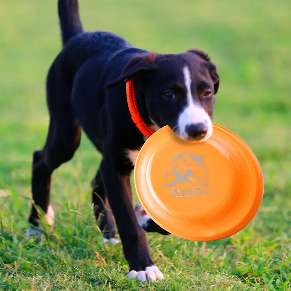 Frisbee per Cani Professionale - Disco Addestramento Morbido e Resistente Puppy