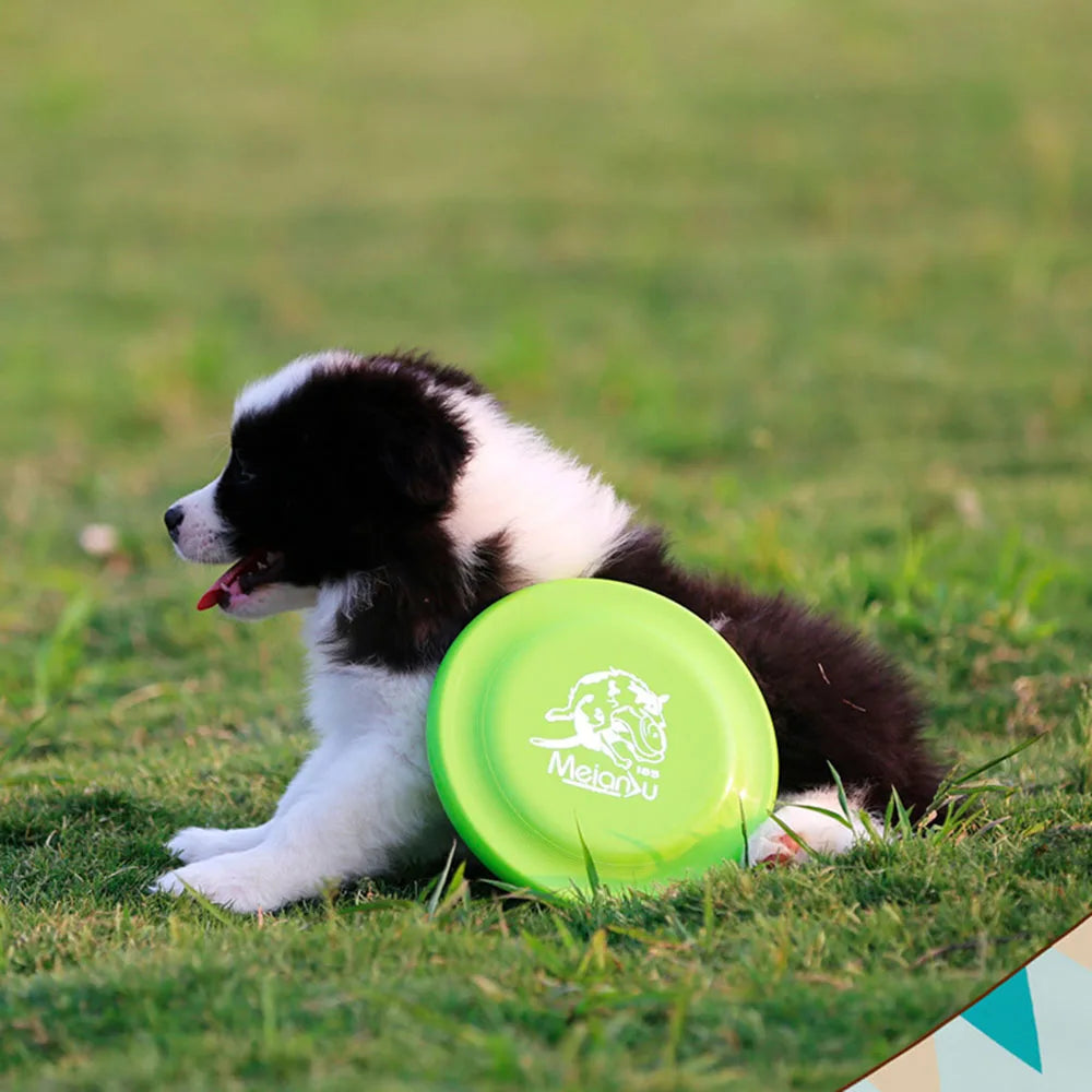 Frisbee per Cani Professionale - Disco Addestramento Morbido e Resistente Puppy