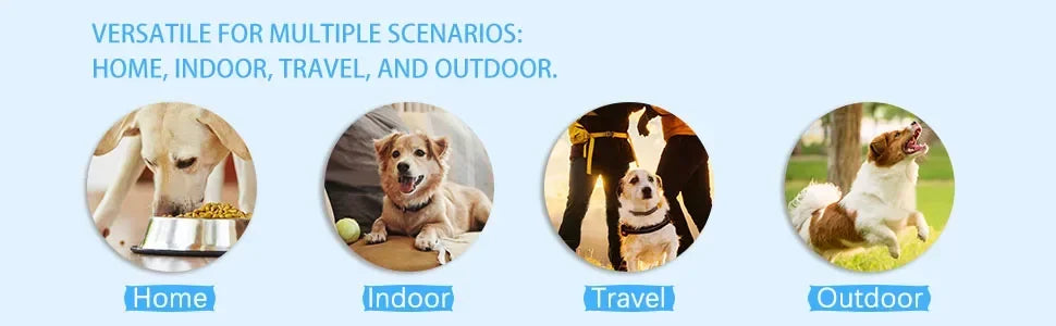 🧤 Guanti Salviettati per l’Igiene di Cani e Gatti