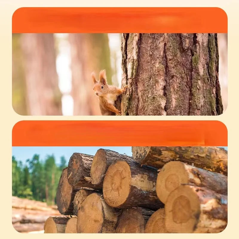 Osso da Masticare ZampaViva™ in Legno di Pino – Gioco Resistente per la Pulizia Dentale e il Relax del tuo Cane